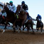 Noel’s Weekend Winners: Action Heats Up Saturday in Hot Springs